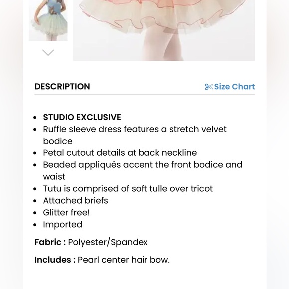 Ballerina Costume | Formal Leotard | One Summer’s Day | Nutcracker - Picture 7 of 14